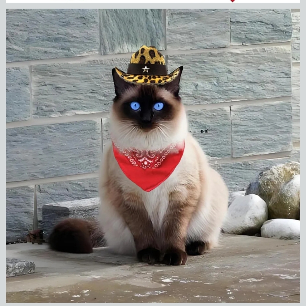 Pair of Pet Cowboy Hats and Bandanas